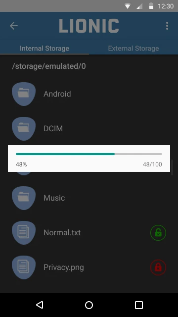 File Encryption