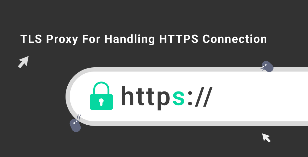 Introducing TLS Proxy for Handling HTTPS Connection